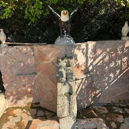 Caco Camper Parking Camping Berat